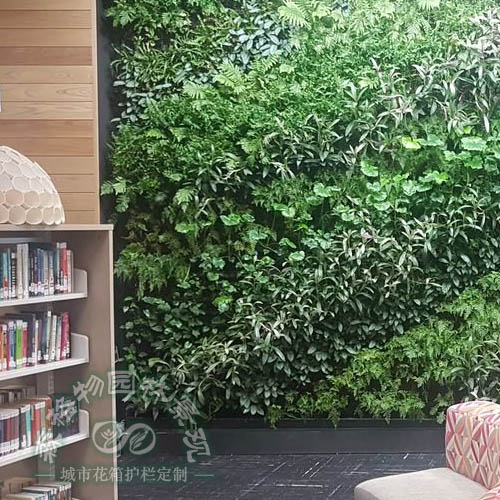 學校圖書館植物墻