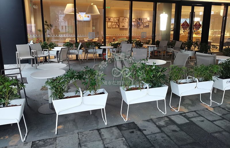 湖北花箱案例：嘉興商業街花箱花架隔斷案例