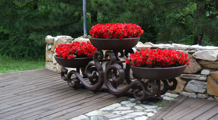 2021年新花架實現垂直綠化，占地少，覆蓋面大！