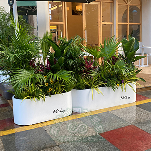 廣西餐飲披薩店花箱隔斷