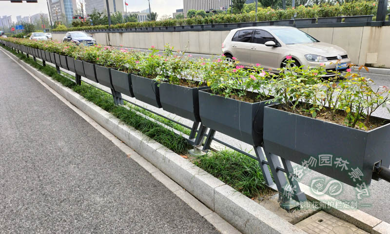 道路自動噴淋裝置馬鞍花箱案例