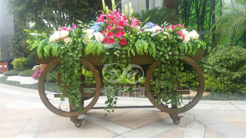 家用室內(nèi)花箱適合種植什么花？ 