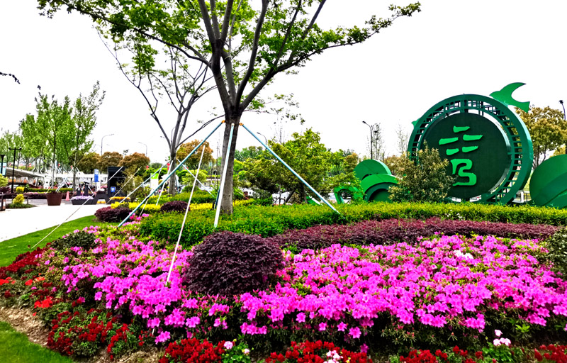 森格物園林草坪養(yǎng)護(hù)工作月歷