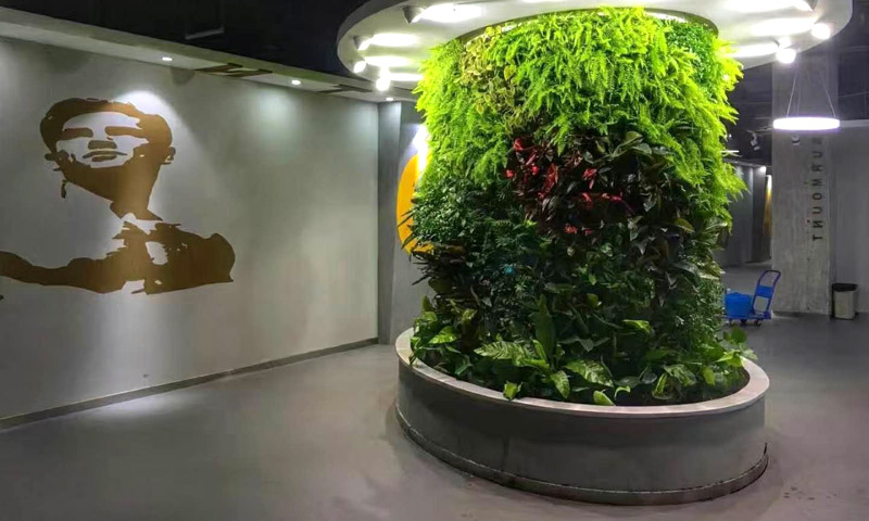 室內植物墻搭配軟裝好看嗎？