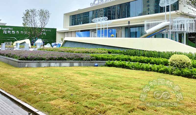 如何在主題公園景觀設(shè)計(jì)中做好植物配置