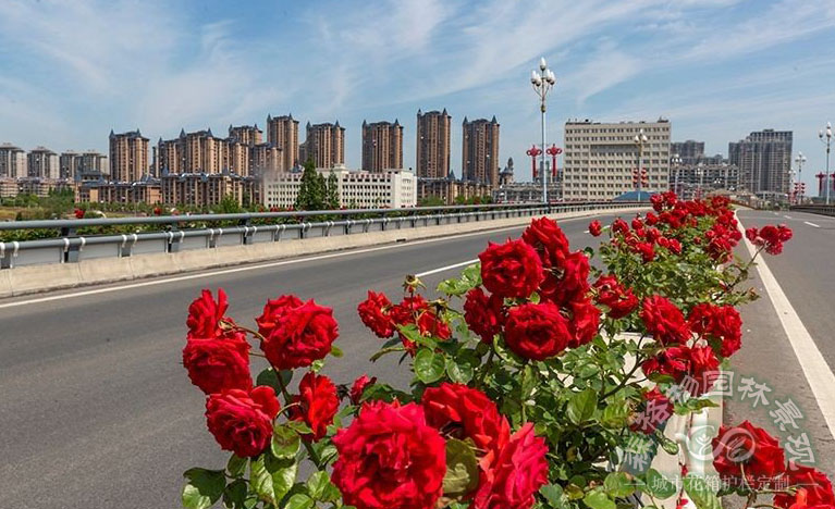 廣西橋梁花箱的裝飾作用表現在哪些方面