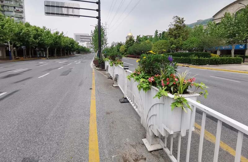夏日繽紛!普陀區(qū)道路“換新裝” ,道路花箱功不可沒(méi)