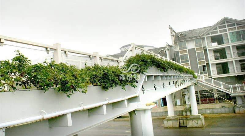 橋梁護欄花箱的基本規(guī)格和特點介紹 橋梁護欄花箱的基本規(guī)格和特點介紹