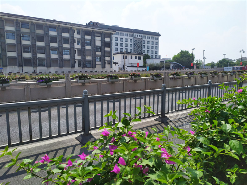 常見的綠化施工技術方案 常見的綠化施工技術方案