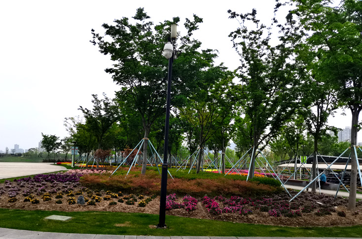 園林景觀綠化養護分類每月應重點注意事項 園林景觀綠化養護分類每月應重點注意事項