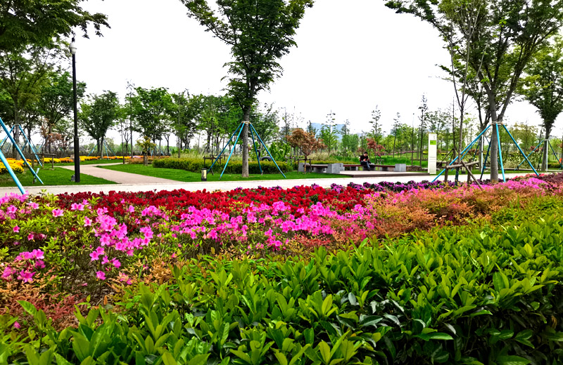 森格物園林草坪養(yǎng)護工作月歷 森格物園林草坪養(yǎng)護工作月歷