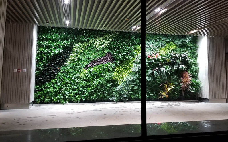 室內生態植物墻帶你回歸自然 室內生態植物墻帶你回歸自然